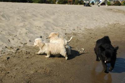 Oct7g_04_310.JPG