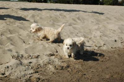 Oct7g_04_312.JPG