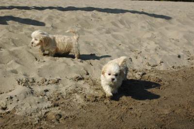 Oct7g_04_313.JPG
