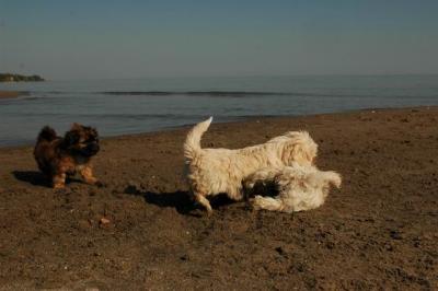Oct7g_04_315.JPG