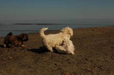 Oct7g_04_316.JPG