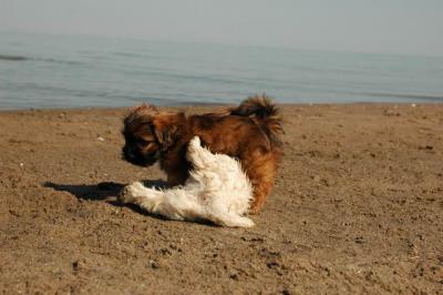 Oct7g_04_328.JPG