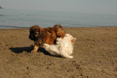 Oct7g_04_330.JPG