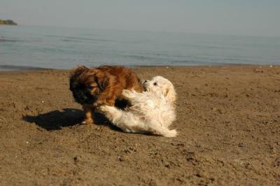 Oct7g_04_331.JPG