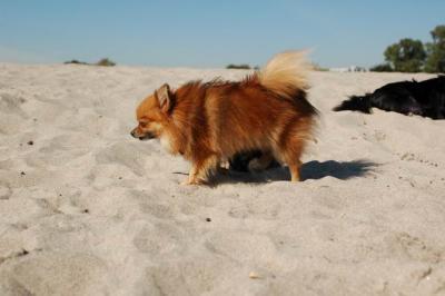 Oct7b_04_126.JPG