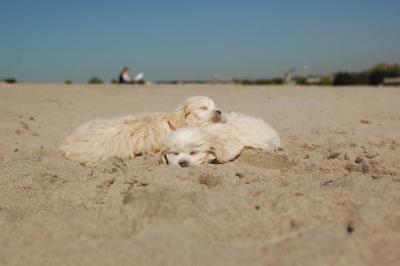 Oct7b_04_138.JPG