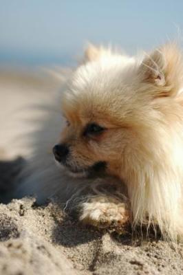 Oct7b_04_156.JPG