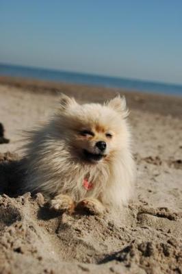 Oct7b_04_165.JPG
