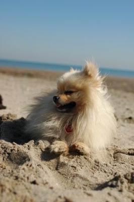 Oct7b_04_167.JPG