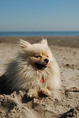 Oct7b_04_172.JPG