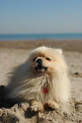 Oct7b_04_177.JPG