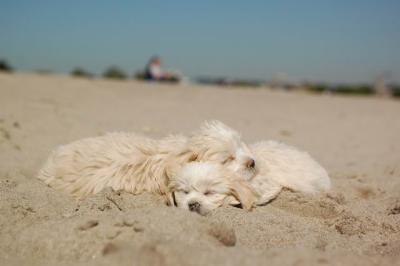 Oct7b_04_186.JPG
