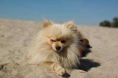 Oct7b_04_202.JPG