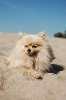 Oct7b_04_205.JPG