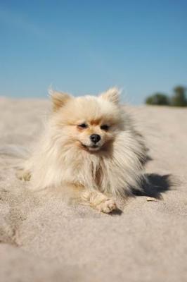Oct7b_04_208.JPG
