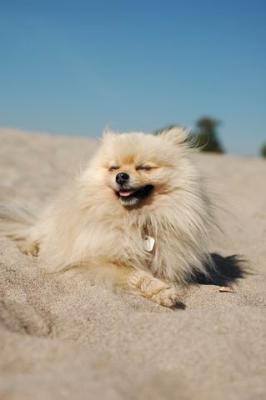 Oct7b_04_211.JPG