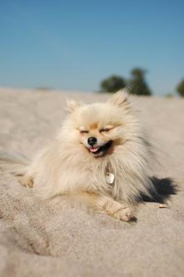 Oct7b_04_213.JPG