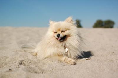Oct7b_04_216.JPG