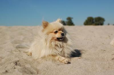 Oct7b_04_220.JPG