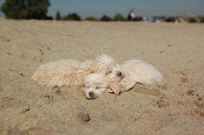 Oct7b_04_225.JPG