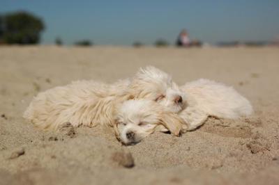 Oct7b_04_226.JPG