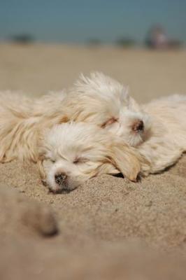 Oct7b_04_231.JPG