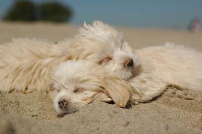Oct7b_04_237.JPG