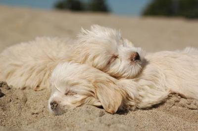 Oct7b_04_238.JPG