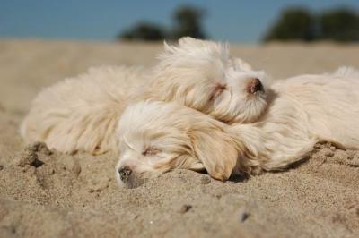 Oct7b_04_240.JPG