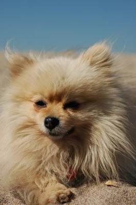 Oct7b_04_256.JPG
