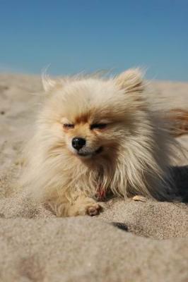 Oct7b_04_260.JPG