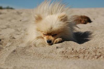 Oct7b_04_269.JPG