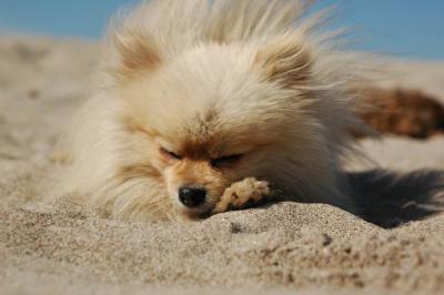 Oct7b_04_270.JPG