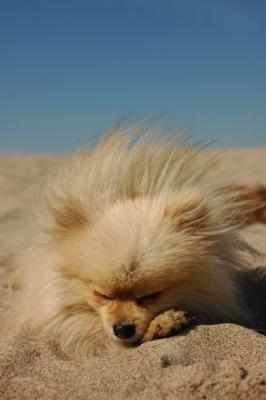 Oct7b_04_272.JPG