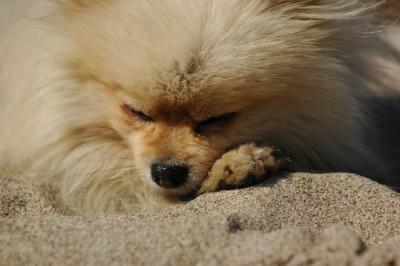 Oct7b_04_276.JPG