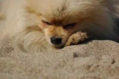 Oct7b_04_277.JPG