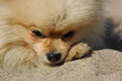 Oct7b_04_278.JPG