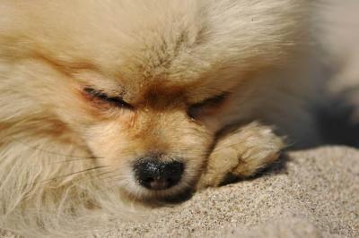 Oct7b_04_279.JPG