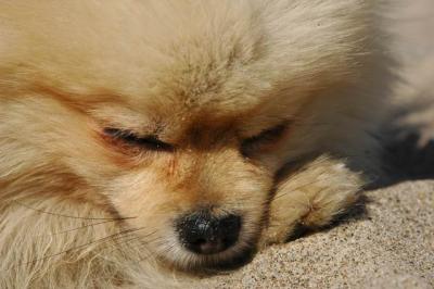 Oct7b_04_281.JPG