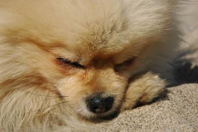Oct7b_04_282.JPG