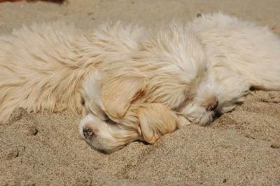 Oct7b_04_283.JPG