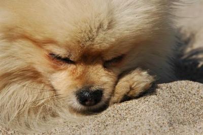 Oct7b_04_285.JPG