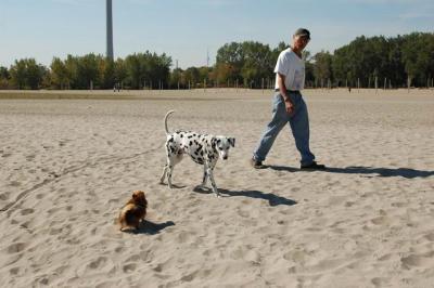 Oct7b_04_291.JPG