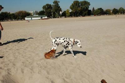 Oct7b_04_300.JPG