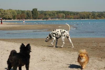 Oct7b_04_311.JPG