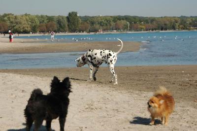 Oct7b_04_312.JPG