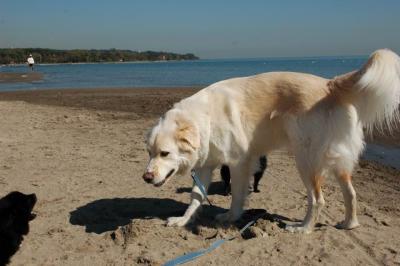 Oct7c_04_001.JPG