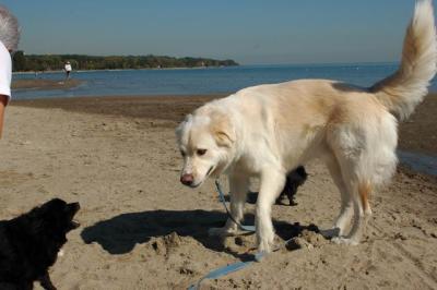 Oct7c_04_002.JPG