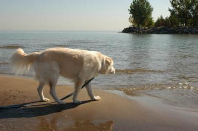 Oct7c_04_004.JPG