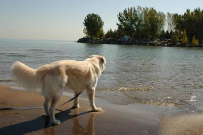 Oct7c_04_005.JPG